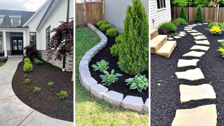15 Stunning Black Mulch Landscaping Ideas to Transform Your Garden