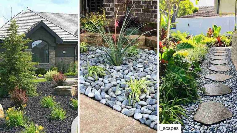 17 Inspiring Black Rock Landscaping Ideas for Your Outdoor Space