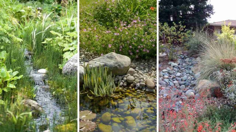 21 Inspiring Rain Garden Design Ideas You’ll Love