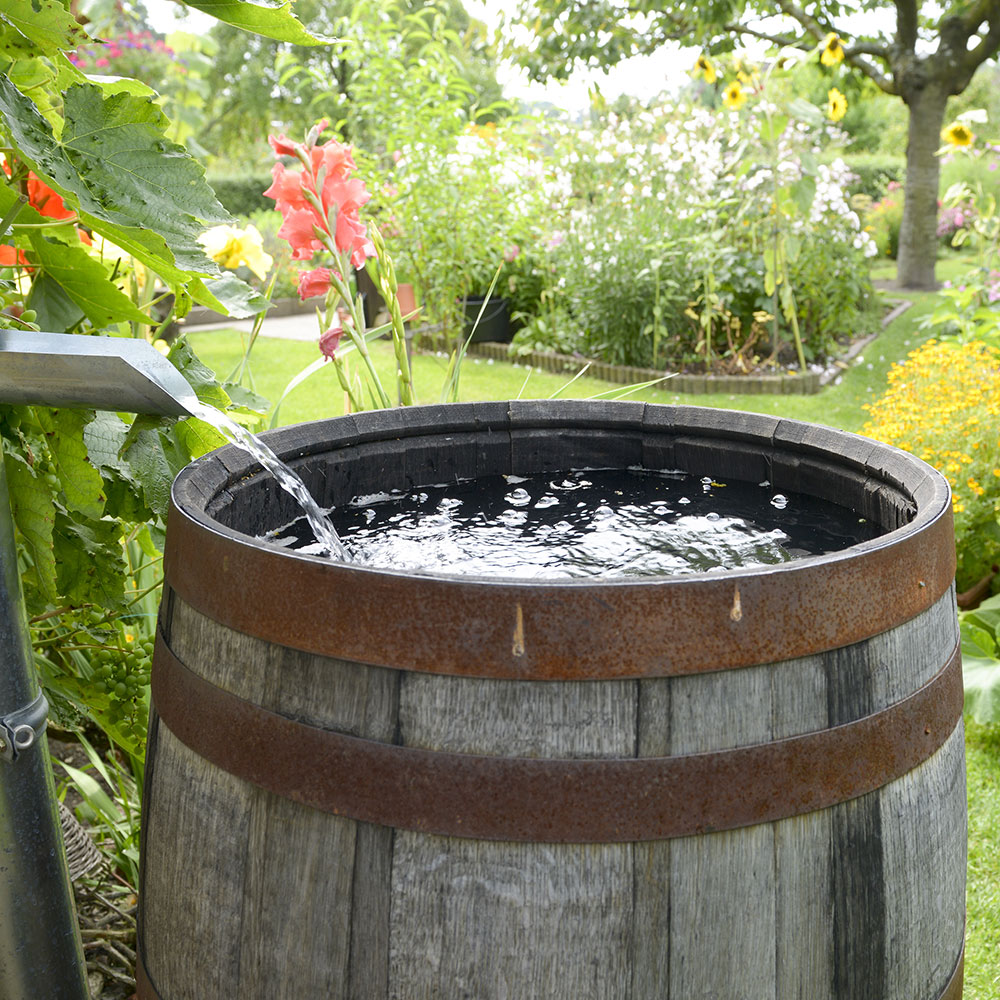 Wooden rain barrel in garden