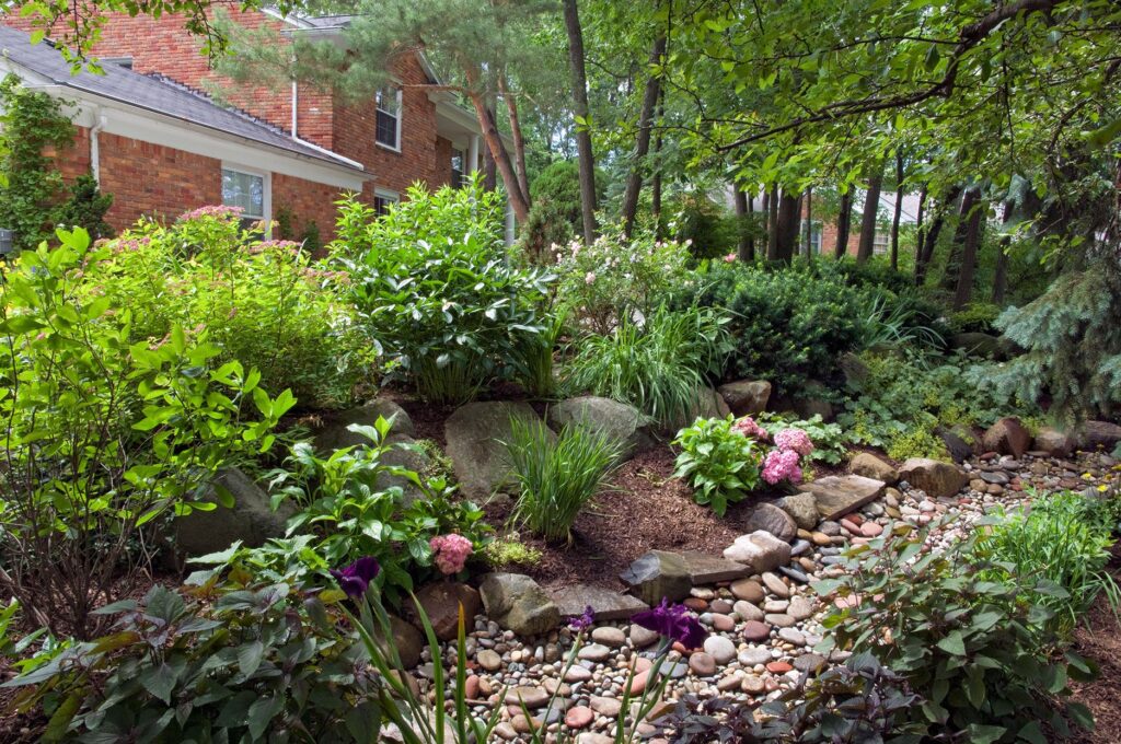Vibrant rain garden with butterflies
