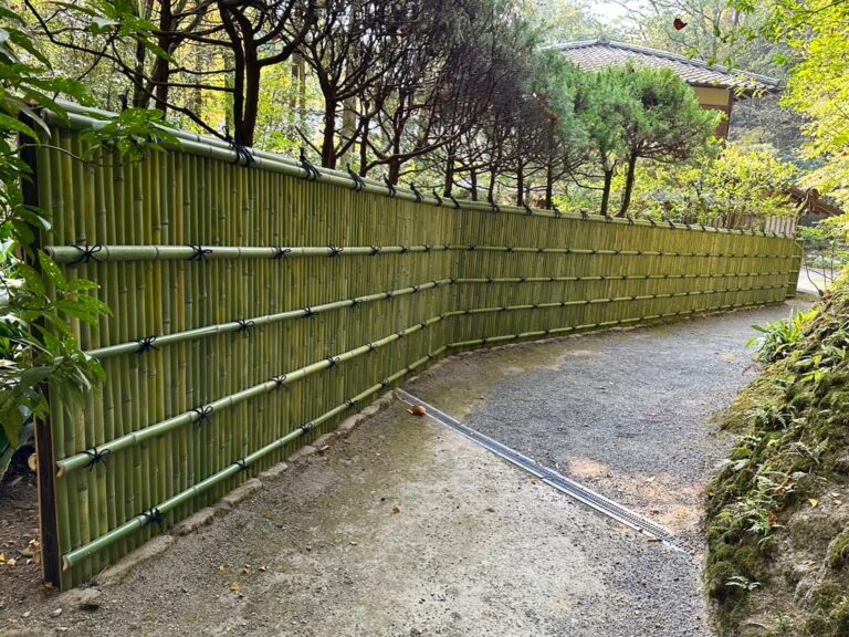 17 Cheap Fence Ideas for Your Yard