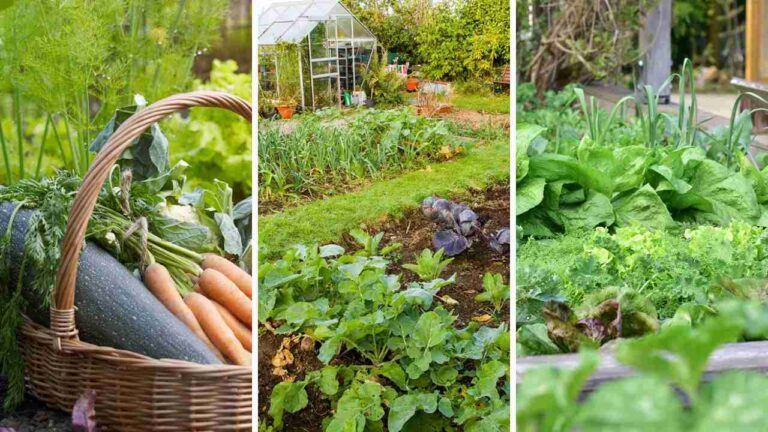 17 Must-Have Vegetables for Your Backyard Garden