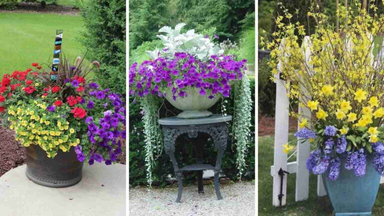 31+ Beautiful Potted Flower Ideas to Brighten Your Home