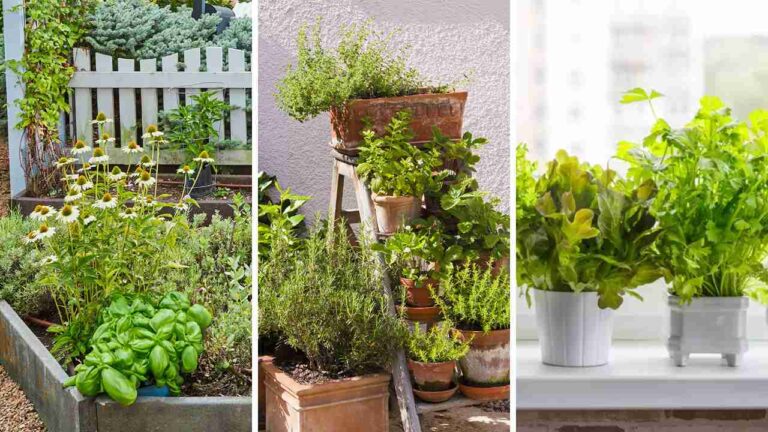 37+ Creative Herb Garden Ideas to Inspire Your Green Space