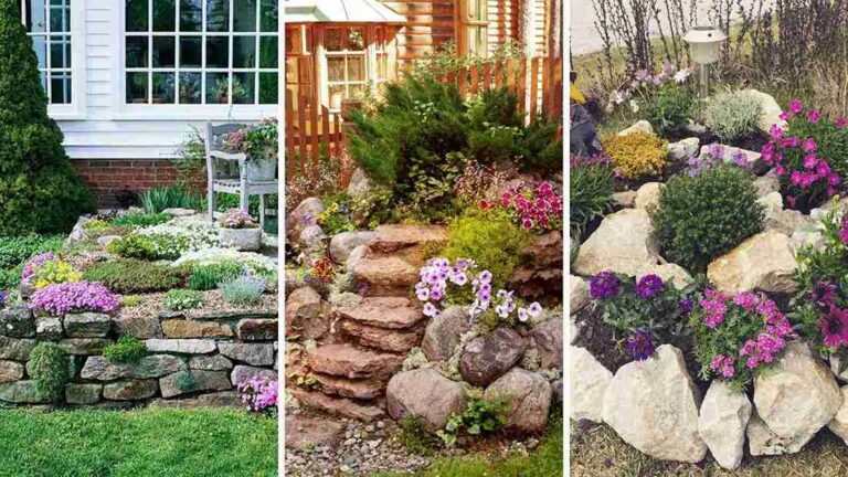 21 Stunning Rockery Garden Ideas to Transform Your Outdoor Space