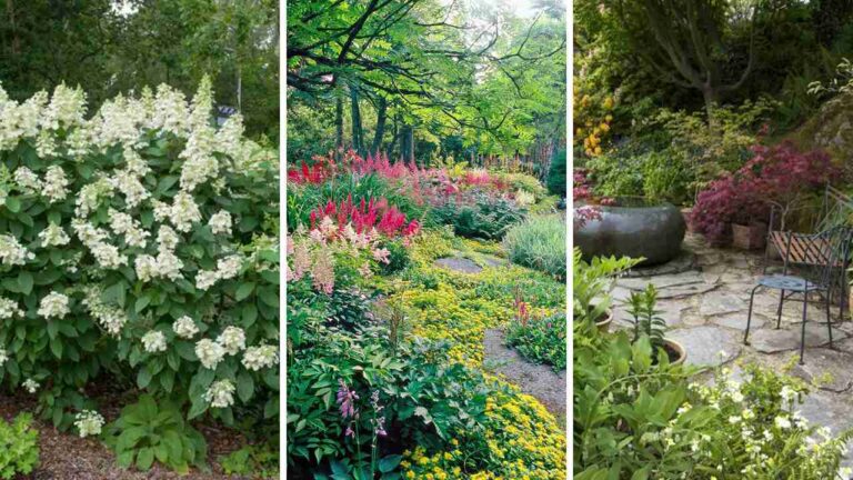 27+ Stunning Shade Garden Ideas You’ll Love