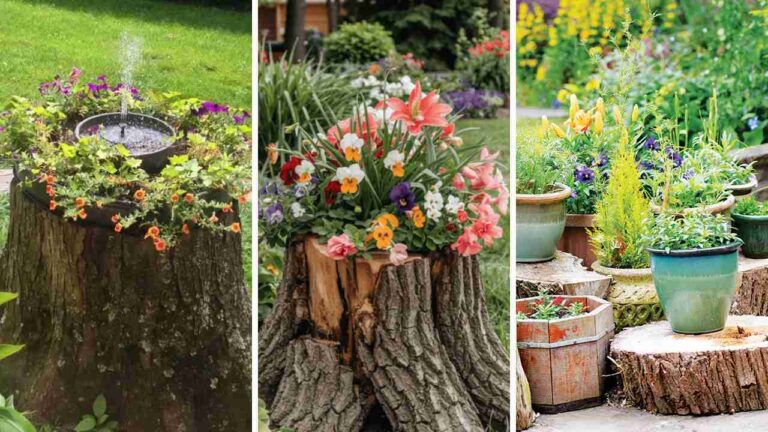 21 Creative Tree Stump Ideas for Your Garden Decor