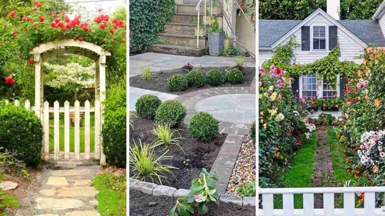 29+ Stunning Front Garden Ideas to Elevate Your Curb Appeal