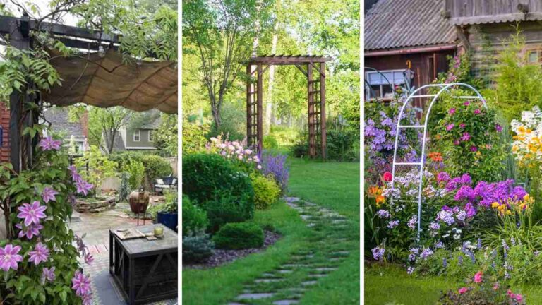 29+ Stunning Gardening Aesthetic Ideas to Transform Your Space