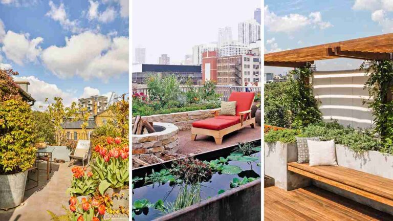 27+ Stunning Rooftop Garden Ideas for Urban Oasis