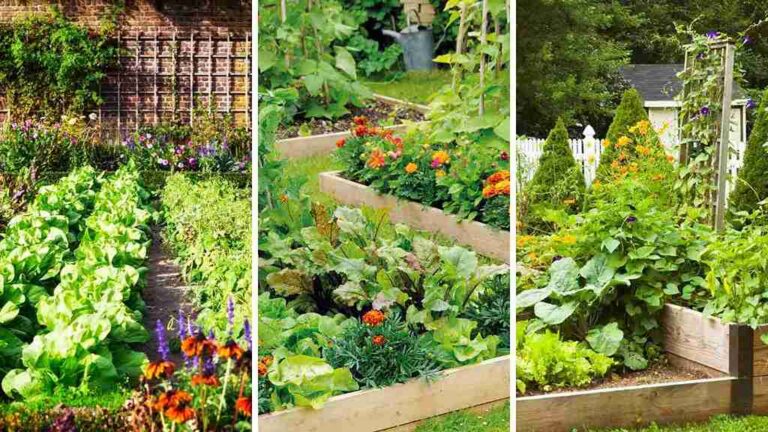 25+ Creative Veggie Garden Ideas to Transform Your Space