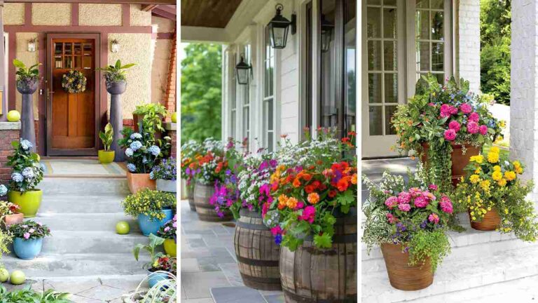 23+ Creative Front Porch Planter Ideas