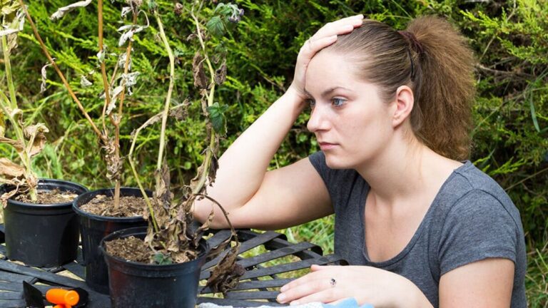 20 Beginner Gardener Mistakes to Avoid