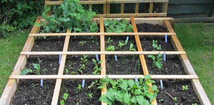 Square Foot Gardening Grid