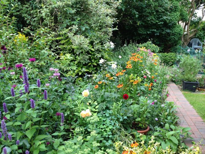 Secret Garden Border