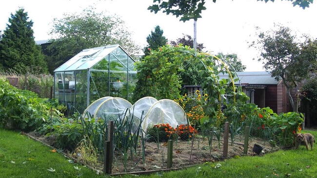 Greenhouse Garden