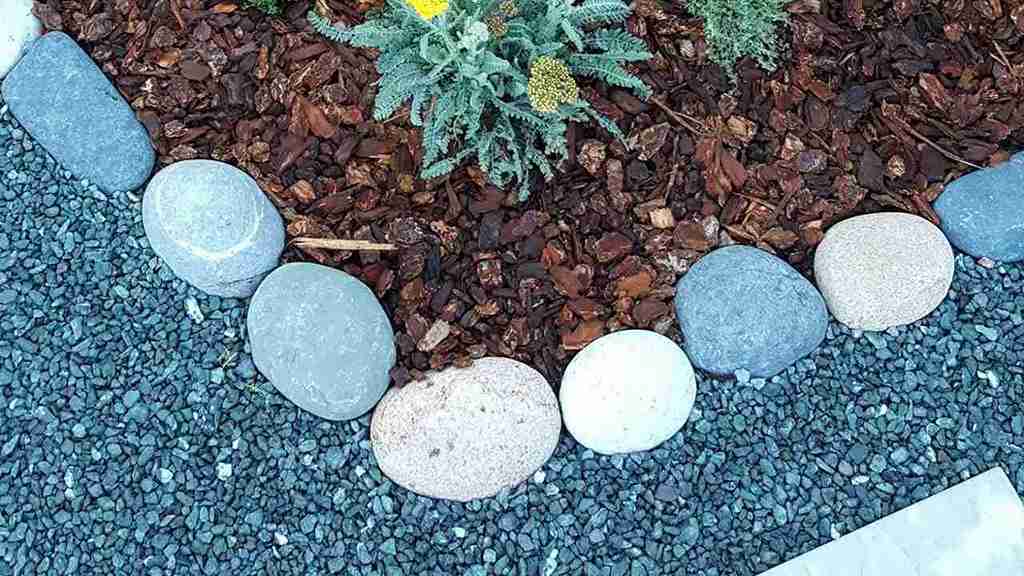 Mulching 101: When, Why, and How to Mulch Your Garden