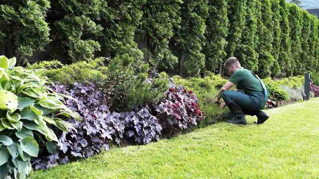 Seasonal Garden Maintenance: What to Do in Spring, Summer, Fall, and Winter