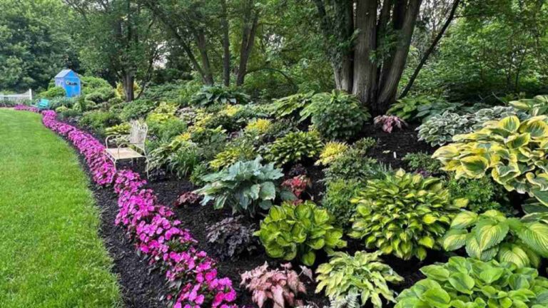 Sun or Shade Garden? Choose the Right Plants for Each Light Level