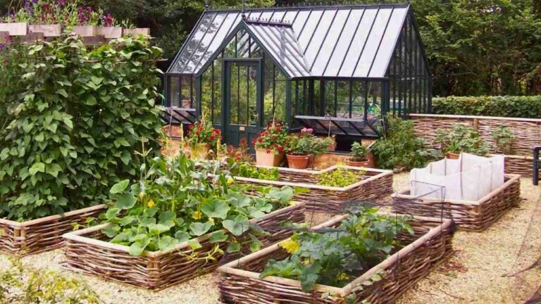 How to Design a Garden for Beginners: Beds, Paths & Layout Ideas