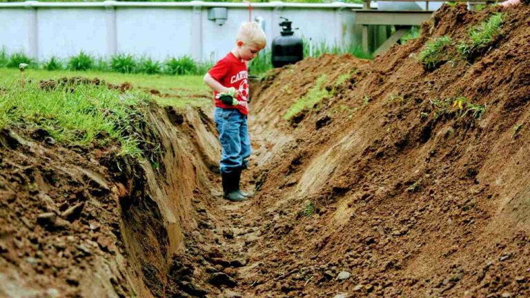 10 Drainage Solutions for Your Yard That Actually Work
