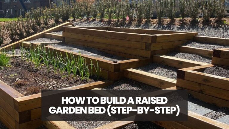 How to Build a Raised Garden Bed (Step-by-Step)