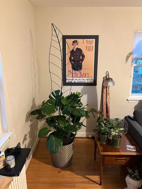 Floor to Ceiling Coco Coir Pole