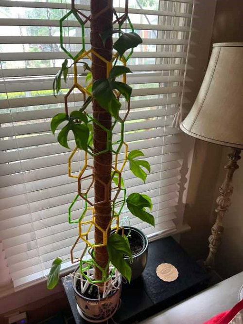 Hanging Honeycomb Window Trellis
